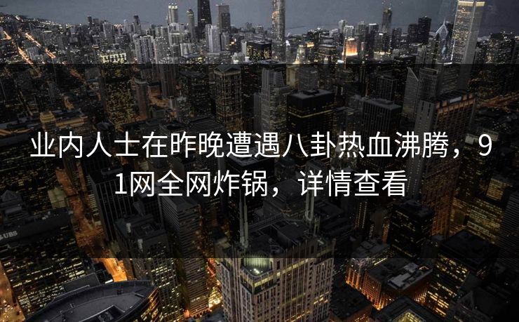 业内人士在昨晚遭遇八卦热血沸腾，91网全网炸锅，详情查看