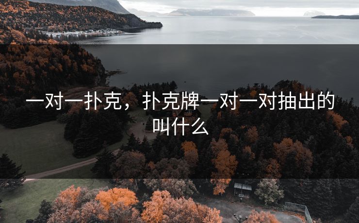 一对一扑克，扑克牌一对一对抽出的叫什么