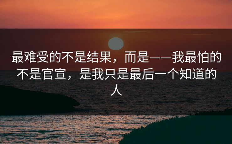 最难受的不是结果，而是——我最怕的不是官宣，是我只是最后一个知道的人
