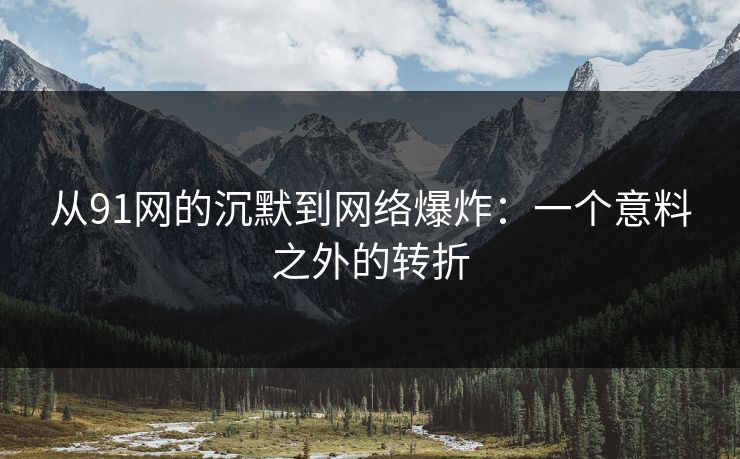 从91网的沉默到网络爆炸：一个意料之外的转折